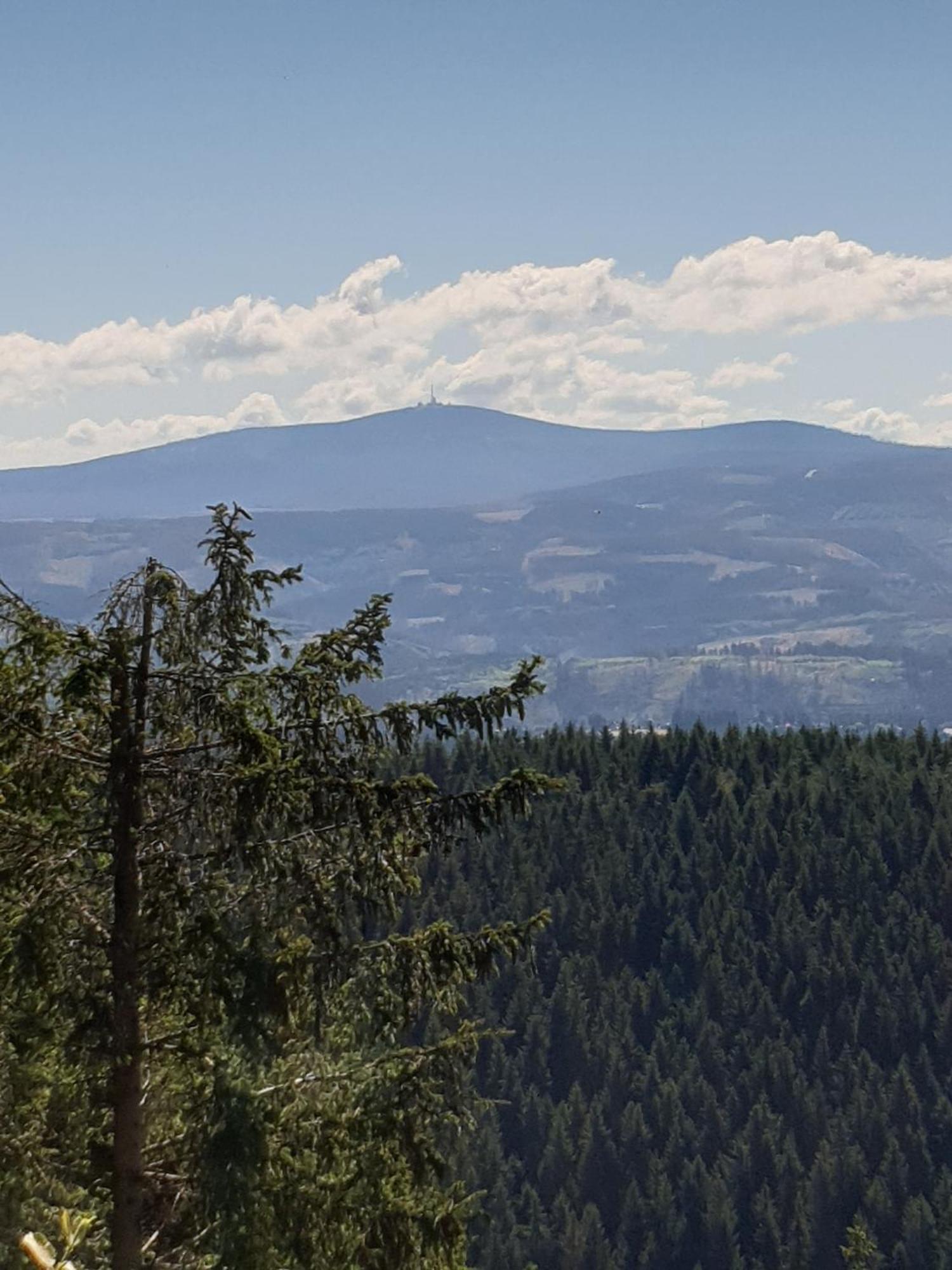 Ferienwohnung Reese- Horstmann Mit Hallenbad Und Sauna, Wlan "Harz Zu Jeder Jahreszeit" Bad Harzburg Habitación foto