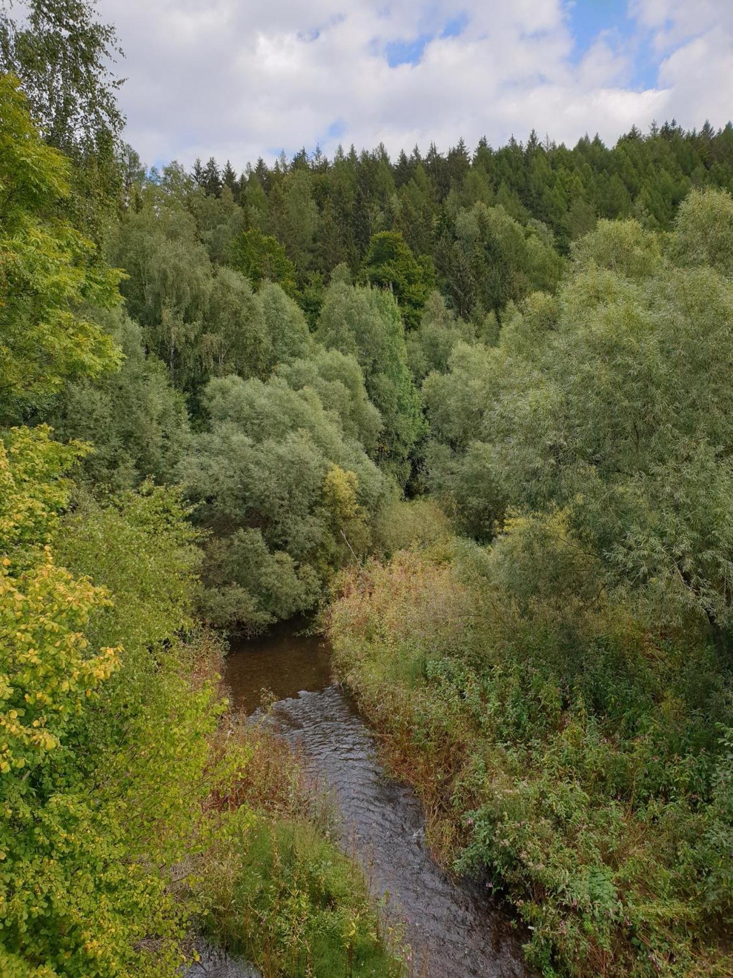 Ferienwohnung Reese- Horstmann Mit Hallenbad Und Sauna, Wlan "Harz Zu Jeder Jahreszeit" Bad Harzburg Habitación foto